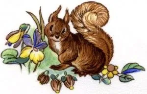 Decal - Animals Squirrel, 55mm long x 35mm wide (DL132)