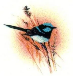 Decal - Blue Wren (DL45)