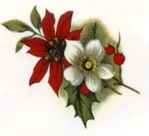 Decal - Christmas Flowers, 52mm x 32mm (DL154)