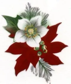 Decal - Christmas Poinsettia, 50mm long x 40mm wide (DL56)
