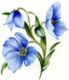 Decal - Flower Blue A, 60mm long x 40mm wide (DL118A)