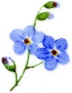 Decal - Flower Blue C, 25mm long x 20mm wide (DL116C)