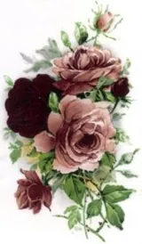 Decal - Flower Maroon/Pink B, 60mm long x 45mm wide (DL9B)