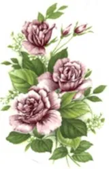 Decal - Flower Marron Roses D, 60mm long x 40mm wide (DL11D)