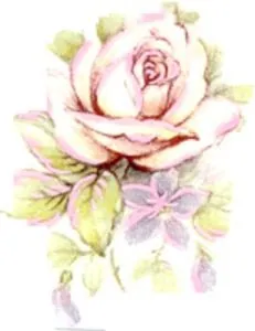 Decal - Flower Pale Pink Rose, 30mm Long x 25mm Wide (DL4)