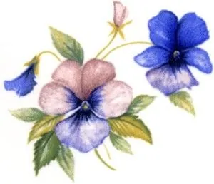 Decal - Flower Pansies B, 60mm long x 45mm wide (DL114B)