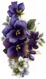 Decal - Flower Pansy, 70mm long x 45mm wide (DL75)