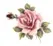 Decal - Flower Pink Rose, 30mm long x 25mm Wide (DL2)