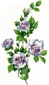 Decal - Flower Rose A, 75mm long x 45mm wide (DL68A)