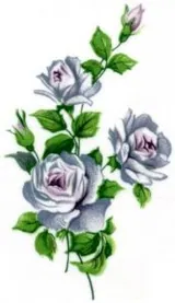 Decal - Flower Rose B, 55mm long x 35mm wide (DL68B)