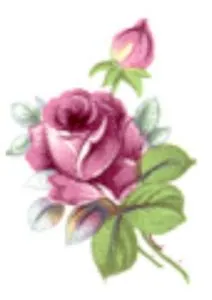 Decal - Flower Rose/Bud, 30mm long x 25mm wide (DL1)