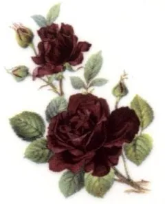 Decal - Flower Rose Ruby, 40mm x 25mm (DL147)
