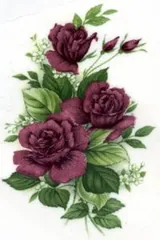 Decal - Flower Roses Pink A, 60mm long x 40mm wide (DL11A)