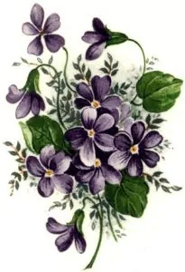 Decal - Flower Violets, 85mm long x 60mm wide (DL76)