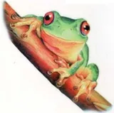 Decal - Green Tree Frog, 45mm (DL165)