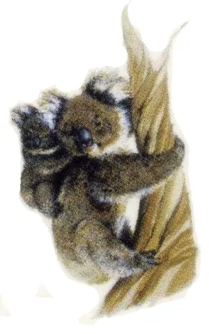 Decal - Koala 45mm, 45mm (DL172)