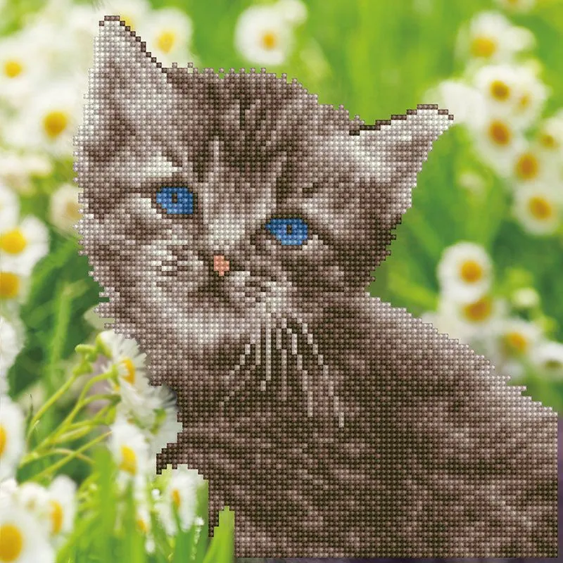 Diamond Art Kitten Kit (DART50455)