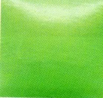 Duncan Bisque-Stain New Leaf Green 2oz (OS555-2)