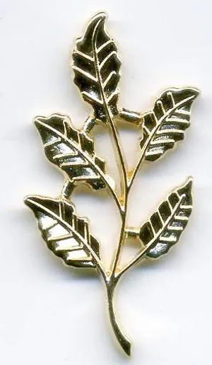 Finding Leaf Brach, 40mm Height x 20mm Wide (4cm x 2cm) (F372)