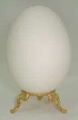Goose (Small -Medium) -Blown Only, Between 20cm - 24cm around long axis (ES05)