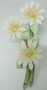 Miniatures Porcelain Flowers Magnet D, 60mm -75mm Long x 40mm Wide (MAGFLOWPD)