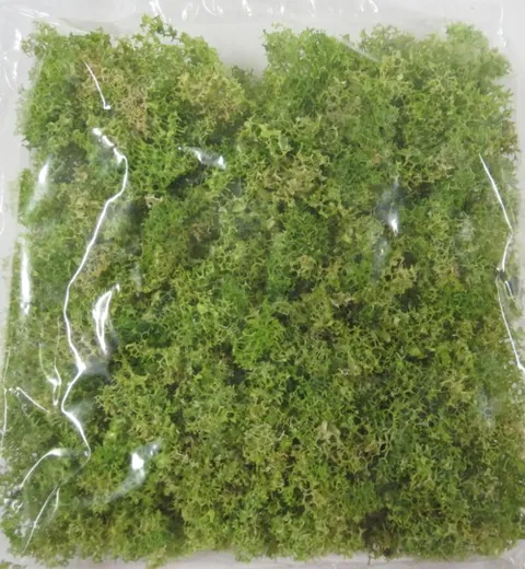 Moss Bag Light Green (DF03)