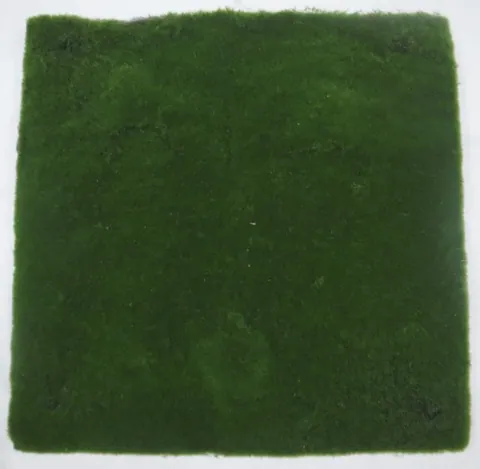 Moss Grass Mat, 300mm x 300mm Square piece ( 30cm x30cm Square) (MISC26)