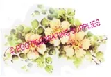 Paper Print Bunch Apricot Flowers, 45mm High x 65mm Wide (NP64)