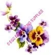 Paper Print Violet Flower, 80mm High x 50mm Wide (NP17A)