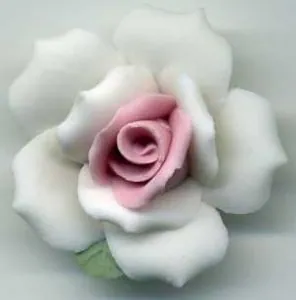 Porcelain Rose White/Pink 25mm, 25mm (1") (POR5D)