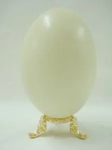 Rhea Eggs - Blown Only, Sizes Vary (ES11)