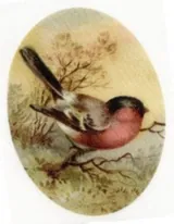 Silk Print Goose, 59mm x 45mm (SPG137)
