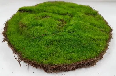 Textured Moss Grass Pad, 200mm Diameter (20cm) (MISC32)